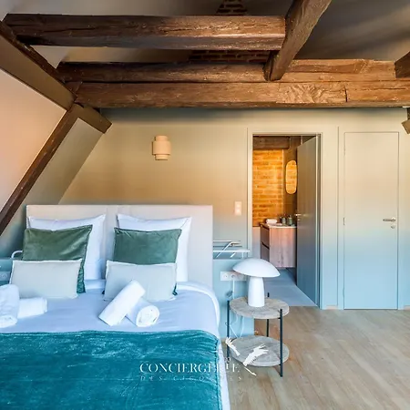 Lejlighed Pistachio Duplex - Hypercentre Colmar